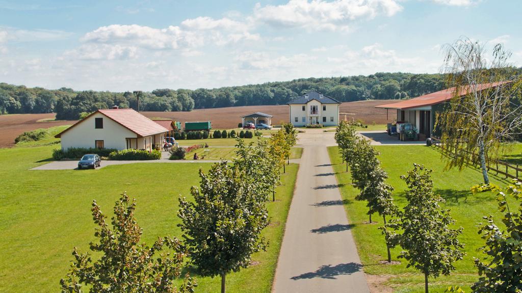 Ferienwohnung Hof Maiweg Alt Schonau المظهر الخارجي الصورة